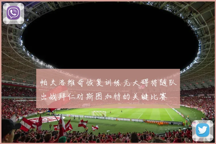 帕夫洛维奇恢复训练无大碍将随队出战拜仁对斯图加特的关键比赛